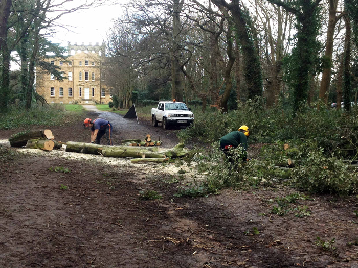 Park Rangers tackle the fallen tree over the Echo Path